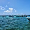 Holchan Marine Reserve Day Pass