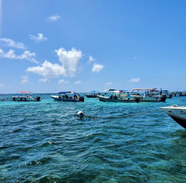 Holchan Marine Reserve Day Pass