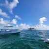 Holchan Marine Reserve Day Pass