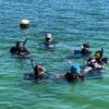 Holchan Marine Reserve Day Pass